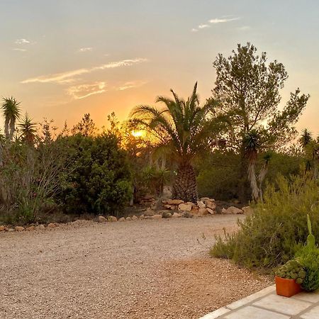 Ses Oliveres Cala Saona Exteriér fotografie