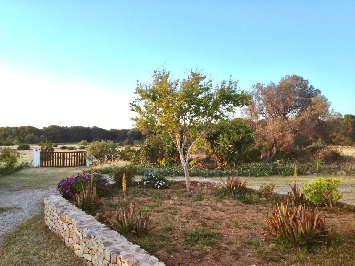 Ses Oliveres Cala Saona Exteriér fotografie