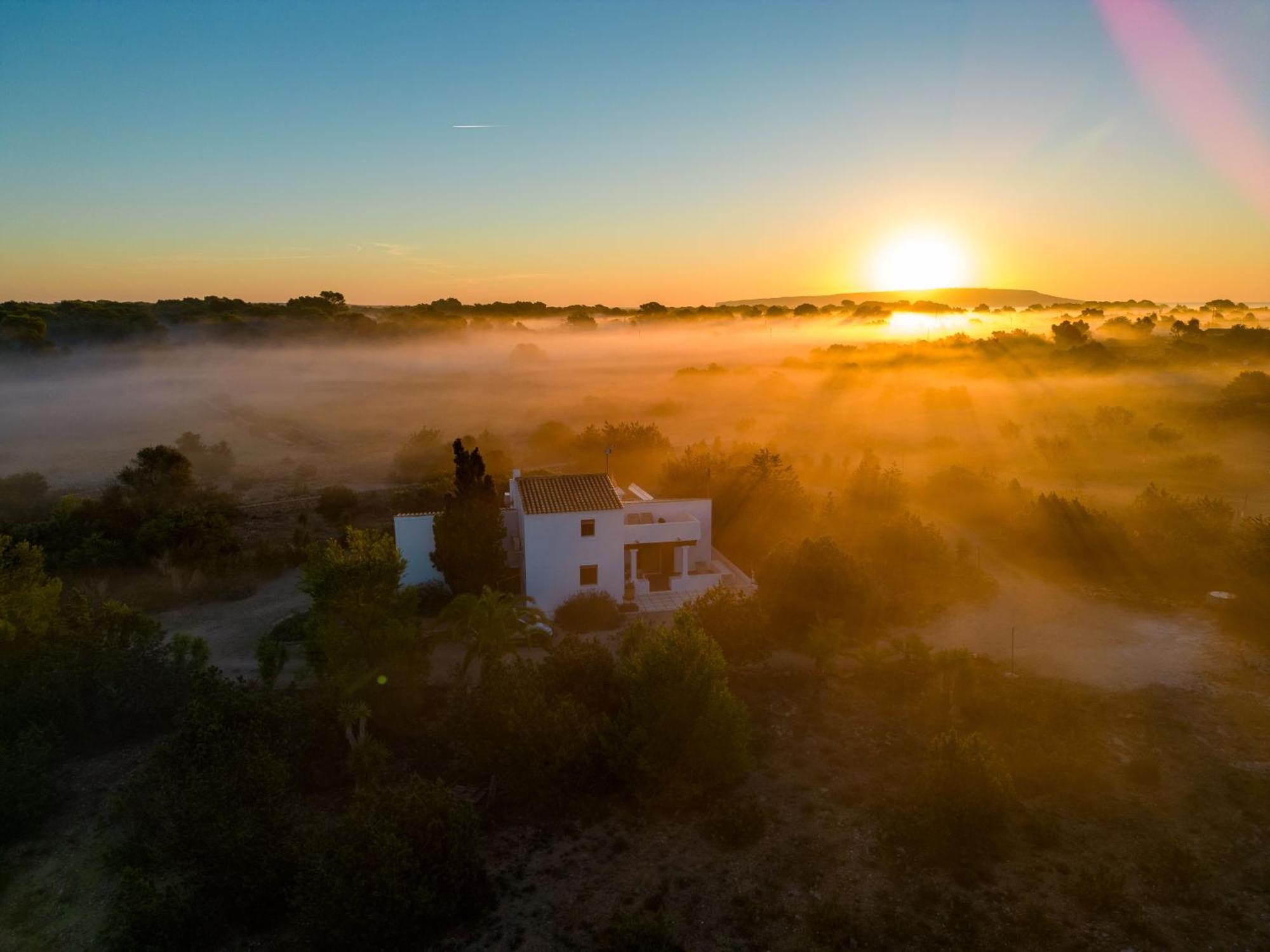 Ses Oliveres Cala Saona Exteriér fotografie